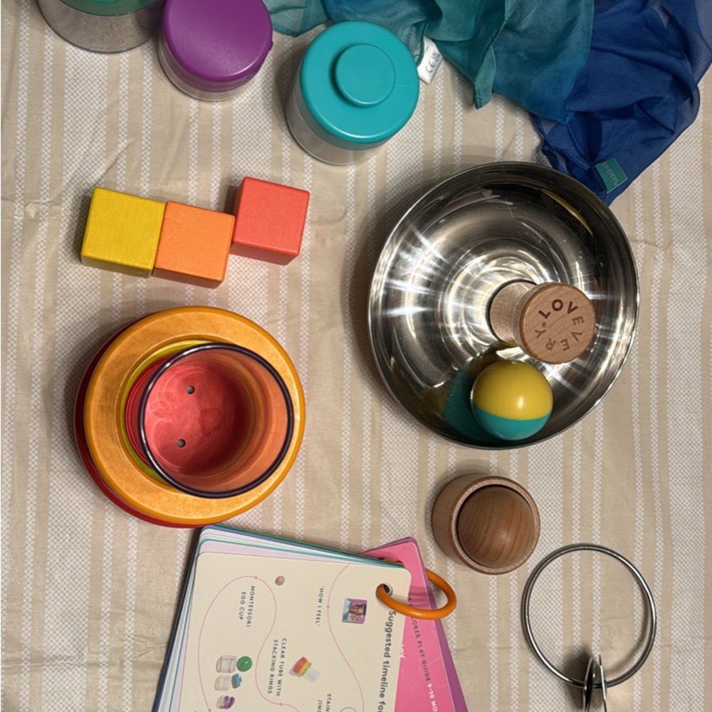 Lovevery 9-10 Month Playthings